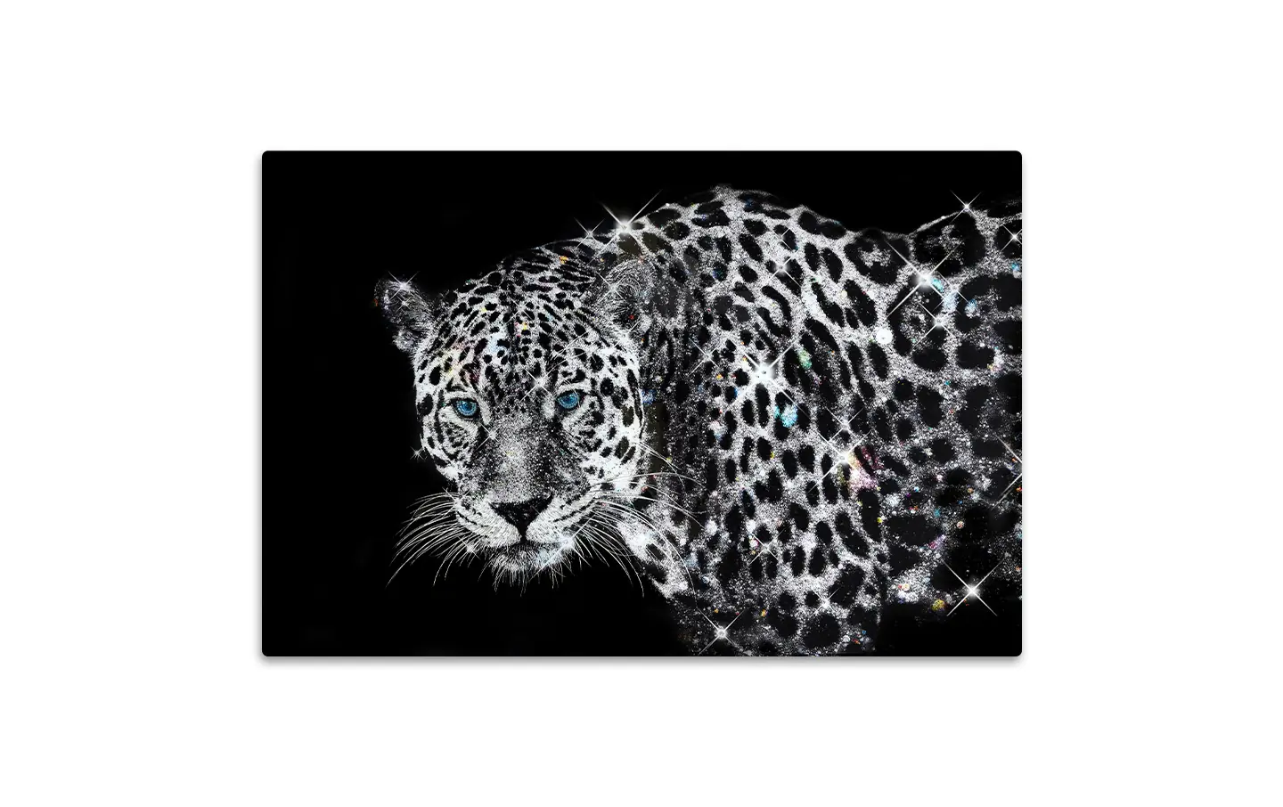 Spotted Leopard Picture